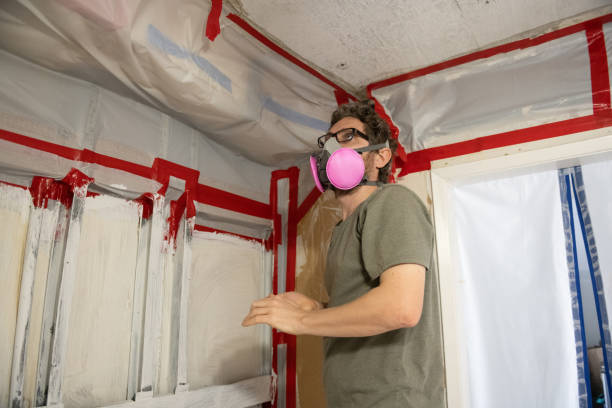 Best Mold Remediation for Healthcare Facilities  in Fort Thompson, SD