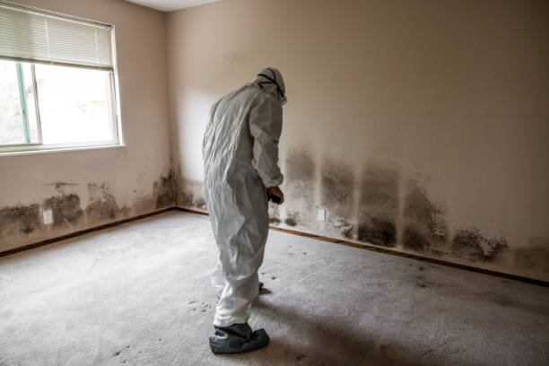 Best Biohazard Mold Removal  in Fort Thompson, SD